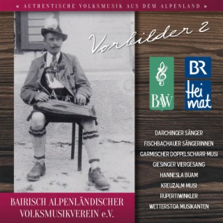 Bairisch Alpenländischer Volksmusikverein E.V. - Bavv - Br Heimat / Vorbilder 2