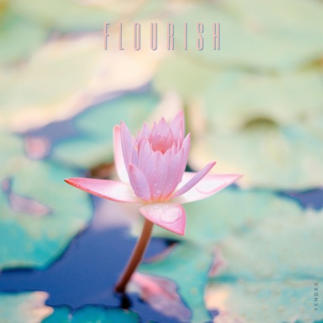 Flourish | Boomplay Music