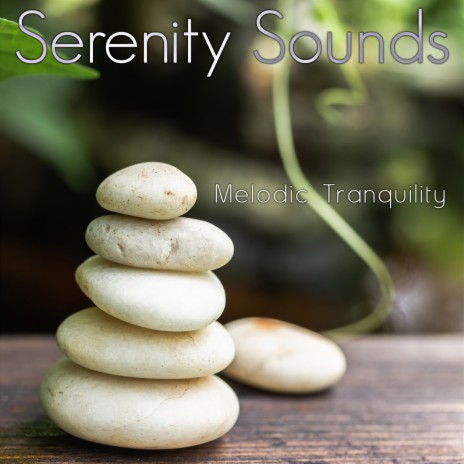 The Sound of Improvement Tranquility