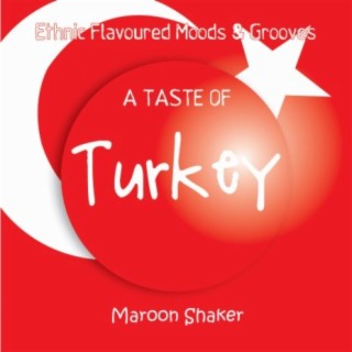 A Taste of Turkey (Ethnic Flavoured Moods & Grooves)