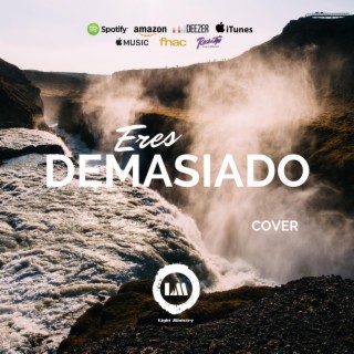 Eres demasiado