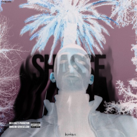Shasse | Boomplay Music