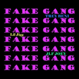 Fake Gang