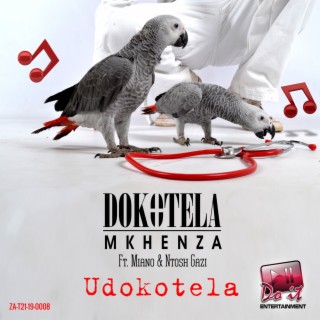 Dokotela Mkhenza