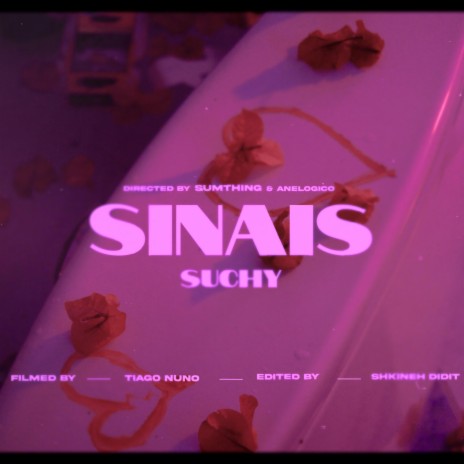 SINAIS | Boomplay Music