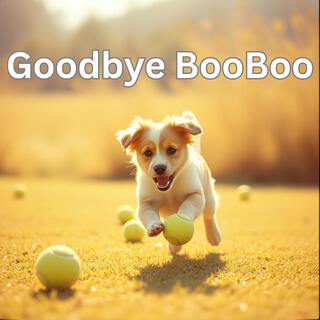 Goodbye BooBoo