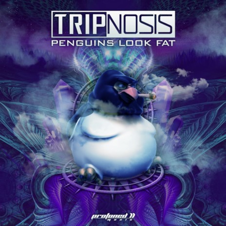 Penguins Look Fat | Boomplay Music