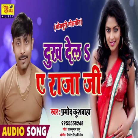 Dukh Dela Ae Raja Ji (Bhojpuri) | Boomplay Music