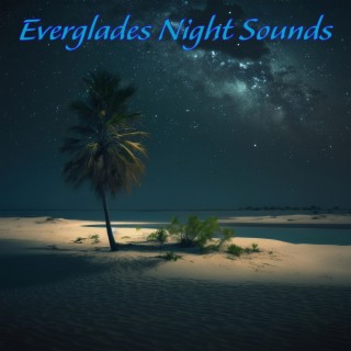Everglades Night Sounds