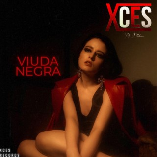 Viuda Negra