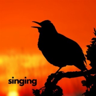 Singing