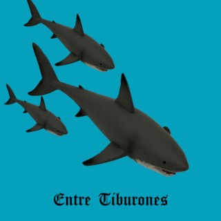 Entre Tiburones
