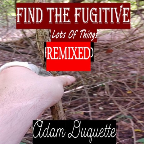 Find The Fugitive (REMIXED)