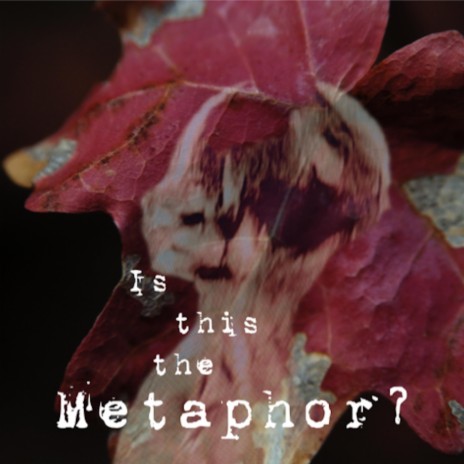 Metaphor | Boomplay Music