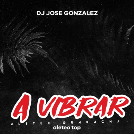 A Vibrar (Aleteo Guaracha) (Remix) ft. Dj jose gonzalez | Boomplay Music