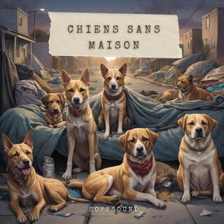 Chiens sans maison