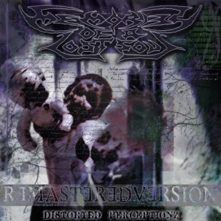 Distorted Perceptionz (2024 Remastered Versions)