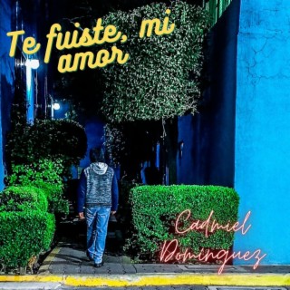 Te Fuiste, Mi Amor lyrics | Boomplay Music