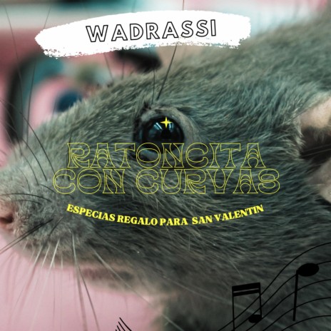 Donde está la ratoncita | Boomplay Music