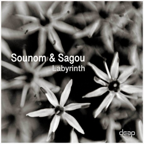 Labyrinth ft. Sagou | Boomplay Music