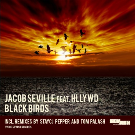 Black Birds (Tom Palash Remix) ft. Hllywd