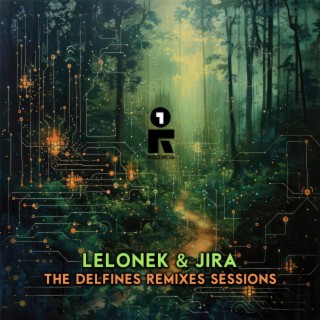 The Delfines Remix Sessions