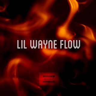 Lil Wayne Flow lyrics | Boomplay Music