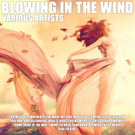 Blowing In the Wind | Boomplay Music