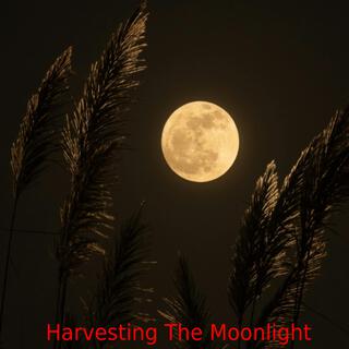 Harvesting The Moonlight