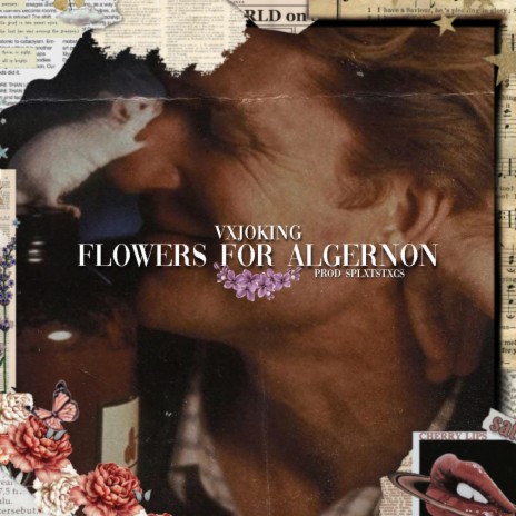 Flowers For Algernon | Boomplay Music