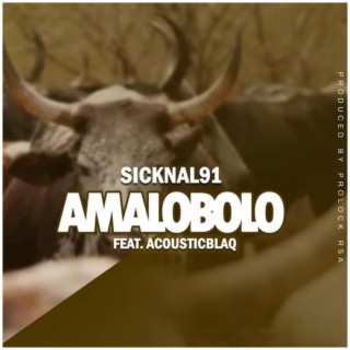 Amalobolo (feat. Acousticblaq) (Radio Edit)