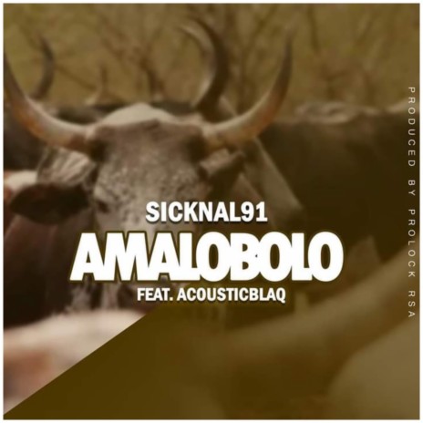 Amalobolo ft. Acousticblaq | Boomplay Music