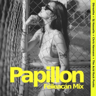 Papillon (Féileacán Mix)