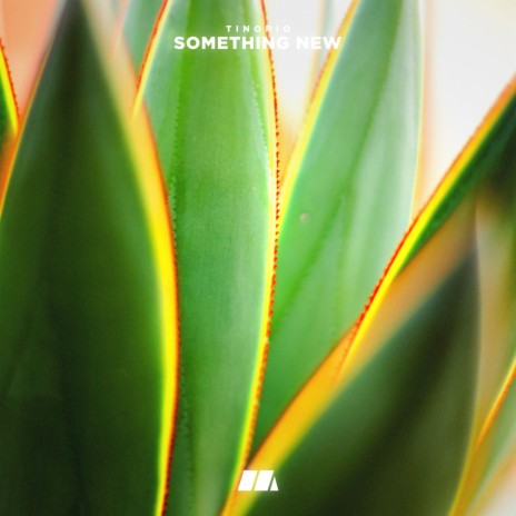 Something New | Boomplay Music