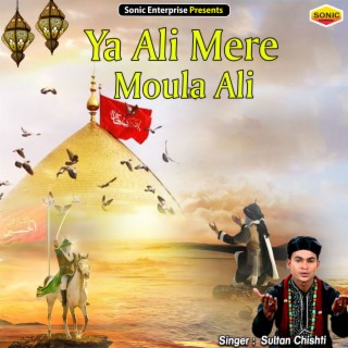 Ya Ali Mere Moula Ali