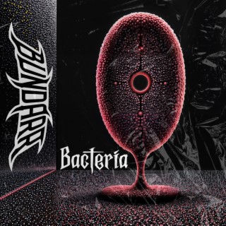 Bacteria