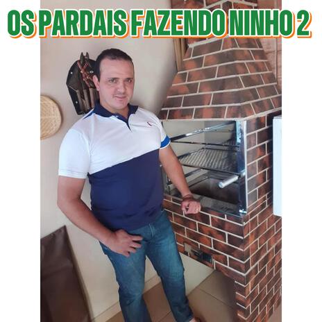 Os Pardais Fazendo Ninho 2 | Boomplay Music