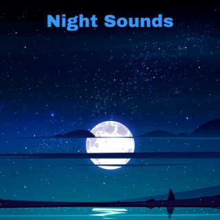 Night Sounds