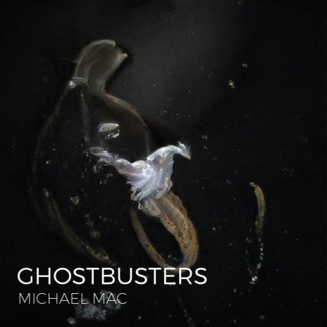 Ghostbusters | Boomplay Music