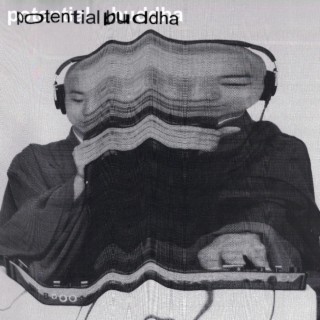 potential buddha | Boomplay Music