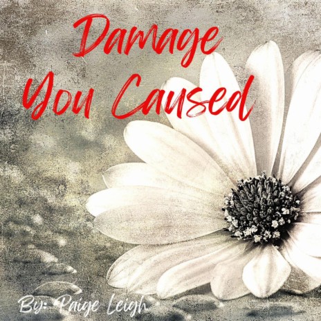 Damage You Caused | Boomplay Music