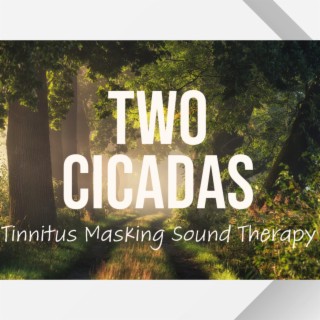 Two Cicadas Rainforest Ambience Tinnitus Masking Sound Therapy