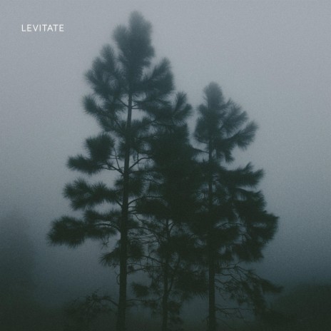 levitate | Boomplay Music