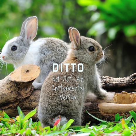 Ditto (Not Just An Instrumental Version) | Boomplay Music