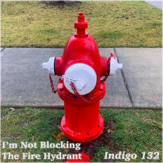 I'm Not Blocking The Fire Hydrant