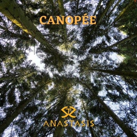 Canopée | Boomplay Music