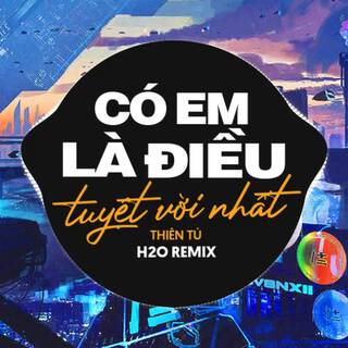 Có Em Là Điều Tuyệt Vời Nhất (Remix)