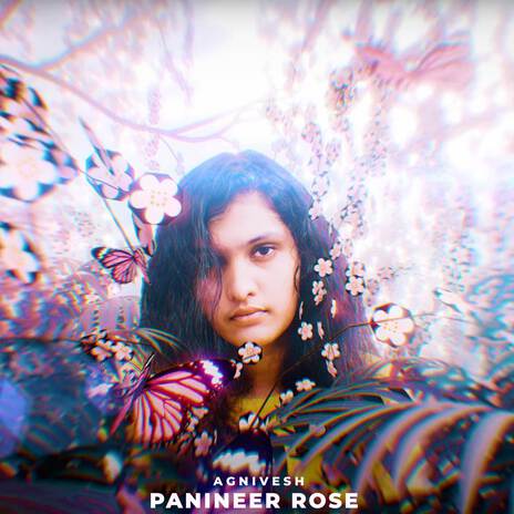 Panineer Rose | Boomplay Music