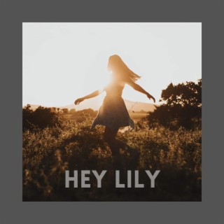Hey Lily lyrics | Boomplay Music