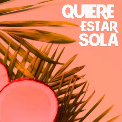 Quiere Estar Sola ft. Laipy, Vick D & SoulBlack | Boomplay Music